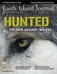 Hunted_The War Against Wolves_ EIJ