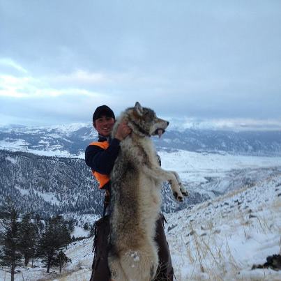 Wolf Killed_Source FB Posted November 13