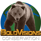 bold visions conservations
