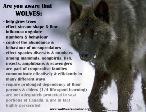 Are you aware that wolves_wolfawarenessInc.org